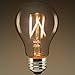 LED Victorian Bulb - Vertical Filament - 7.5 Watt - 800 Lumens - 60W Equal - 2700 Kelvin Warm White - Clear - Green Creative 98278