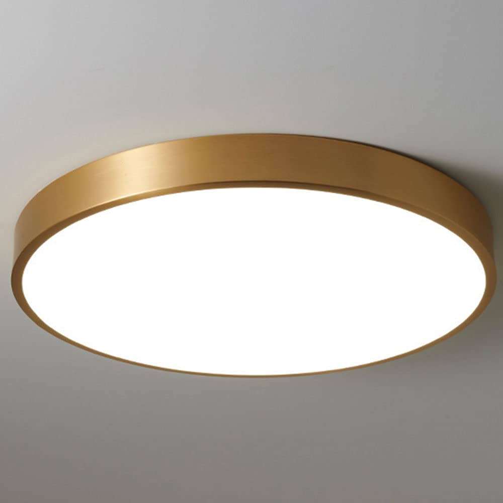 OZBMA Nordic Minimalist Ceiling Light, 1.9inch Slim Round Design Lamp Oil Rubbed Bronze Finish Flat Wall Sconce for Kitchen Bedroom Elegant Moroccan Flush Mount Light (size_name 50cm/19.7in)