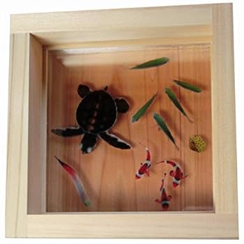 アクリル 3D 金魚アート 咲 プレゼント ギフト フィギュア 動物 生き物 Amazon.co.jp: 金魚 アクリルアート 3D金魚 咲 純日本製 手作り
