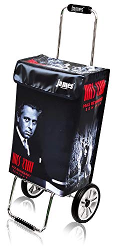 James® Einkaufstrolley modern Design Botticelli, Einkaufswagen bunt, Hackenporsche, Shopping-Lifestyle, Planenmaterial, bis 50kg Tragkraft, Grosse Räder, Made in Vienna – Bild 3