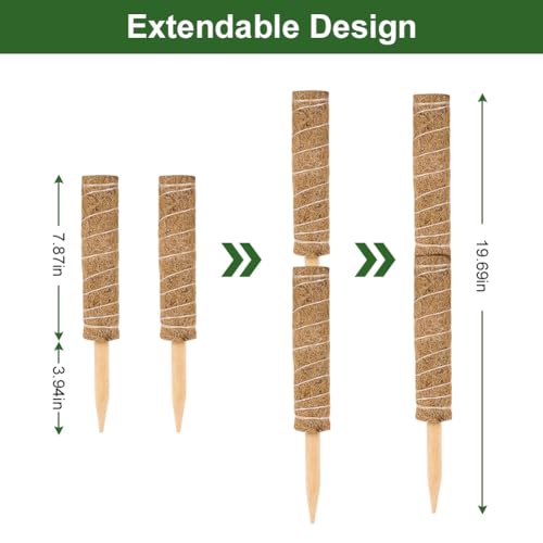 Vicloon Moss Pole, 2pcs Coir Totem Pole, Coir Moss Stick Plant Totem Moss Sticks for Indoor Plants Climbing Creepers - Image 3