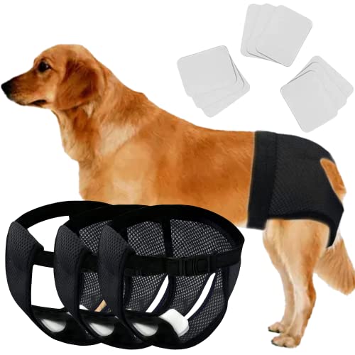 Image of Every Pet Reusable Diapers with 3 Replace Diaper,Breathable Mesh Washable Dogs Sanitary Pads,Menstruation Diapers Panties Adjustable Sanitary Briefs For Small Medium and Large Dogs(3PCS Black,Large)