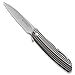 Columbia River Knife & Tool Onion Swindle - Designed by Ken Onion