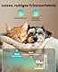 oneisall 4 in 1 Hundeschermaschine Set, Leise Pfotentrimmer für Hunde, LCD-Anzeige Schermaschine Katze Hund, Pfotentrimmer&Hunderasierer&Krallenschleifer für Körper, Pfoten, Augen, Ohren, Gesicht