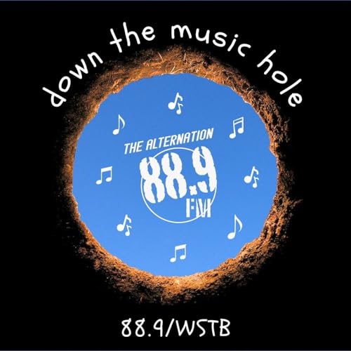 Down The Music Hole cover art