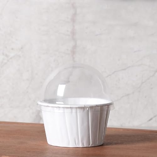 Tufduzo^thD]100 Wtʖ͗l̃JbvP[LCi[ AĝĂ̑ϖJbvP[LCi[Ax[LO^ (20)