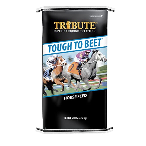 Kalmbach Feeds Tribute Tough to Beet for Horse, 50 lb