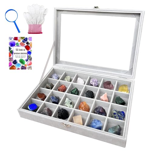 HEMYLU Rock Collection Display Case, Crystal Storage Box with 24 Grids and Gem Knowledge Handbook for Kids, Gem and Stone Collection Case for Display