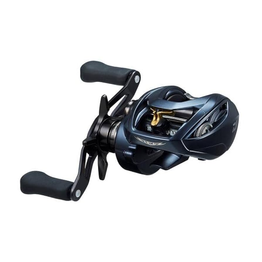 コロンビアDAIWA STEEZ AⅡ TW 1000XH L Daiwa Steez AII TW 1000XH Bait Reel, 2022 Model : Amazon.ca