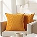 Topfinel Funda Cojin 50x50 cm Amarillo Terciopelo Fundas Cojines Decorativo Estampado Cojines Sofa Suaves de Color Sólido para Cama Sala Salon Coche Oficina Habitacion 2 Piezas