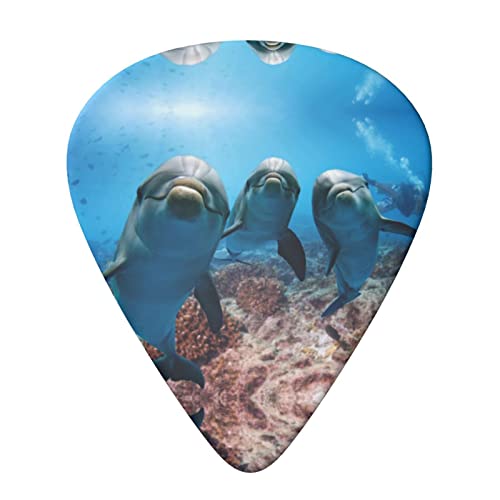 Funny Dolphin Looking At You Lot de 6 médiators pour guitare acoustique, guitare électrique, basse, ukulélé – Fin, moyen… - Les Beatles, Paul McCartney, John Lennon, RIngo Starr, George Harrison Funny Dolphin Looking At You Lot de 6 médiators pour guitare acoustique, guitare électrique, basse, ukulélé – Fin, moyen… – Image 4