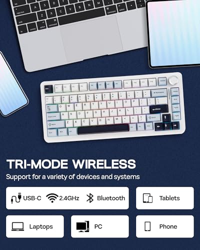 Image of EPOMAKER EA75 75% RGB Gaming Mechanical Keyboard, 2.4GHz /Type-C /BT Creamy Wireless Keyboard with Knob, Shine Through PBT Keycaps, Hot Swappable for Gamers (Light Blue, Graywood V3 Switch)
