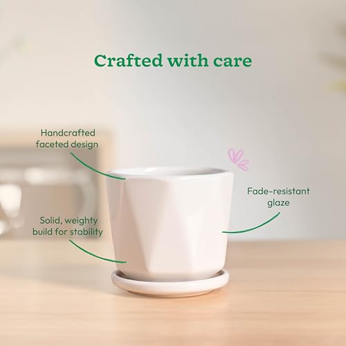 Image of UGAOO Diamond Ceramic Pot |Indoor Ceramic Planter for Home, Office, Garden, Balcony - White (4 Inch)