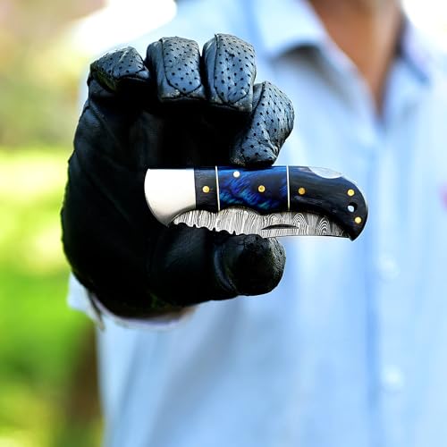 HA Handmade Damascus Pocket Knife for Men - 6.5 Inches Damascus Folding Knife with Sheath - Pocket Knives and Folding Knives with Back Lock - Best for EDC, Camping, Fishing,Hiking and Gift (Black&Blue)