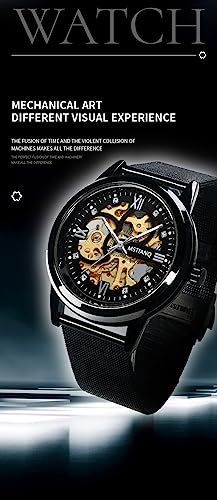 Image of CHENXI Luxury Business Steel Strap Watch Original Automatic Mechanical Skeleton Transparent Mechanical Watch for Men