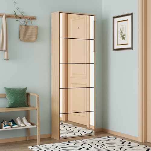 Yechen Mirror Shoe Cabinet with 5 Flip Drawers