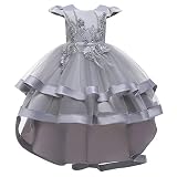 Girl Frilly Princess Dress Cap Sleeve Back Zipper Tulle Grey 110cm 3-4years