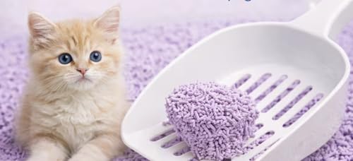 Arena para Gatos de Tofu, 6L Cada Uno, Fuerte Absorbencia, Fácil Compacidad, Desagotable, Sin Polvo, Múltiples Aromas Disponibles, Suministros para Mascotas. (1, Lavanda)