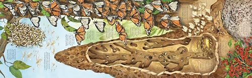 Big Book of Big Bugs (Big Books) - Image 6