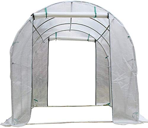 HYFDGV Invernaderos Terraza Plastico Invernadero EDUCACIÓN FÍSICA CUBIERTE Walk-in Hothouse con Marco de Acero Completo y Dos Puertas con Cremallera, 300 × 200 × 175 cm Invernadero