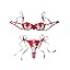 Bow Floral Red Bow Floral Red
