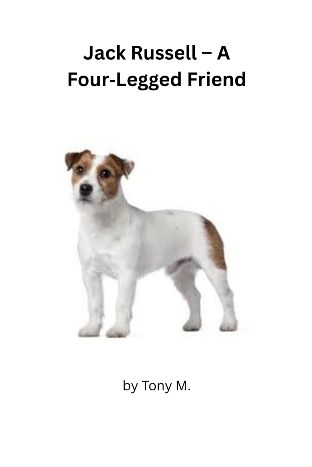 Jack Russell, a Four- Legged Friend