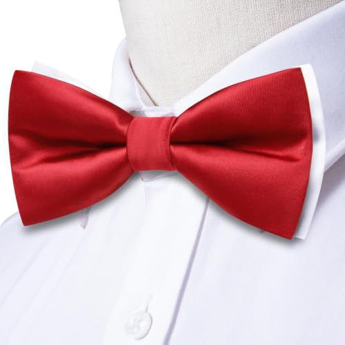 Image of Dubulle Mens Paisley Striped Bowtie Set Pre-tied Bowtie for Men and Pocket Square Set Wedding Business