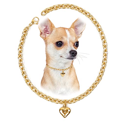 Image of HOWWFALY Dog Collar and Cat Chain Necklace Stainless Steel Adjustable 18K Gold Heart-Shaped Necklace for Small Pets Cats Kitten Puppy (Gold, 10 inch)