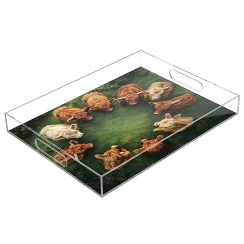 Nesatuwa Highland Cows Acrylic Serving Tray with Handles,Clear Serving Tray Decorative Tray Organiser for Ottoman, Kitchen, Bedroom Decorative Tray 12x16 Inches