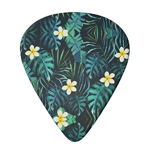 Ensemble de 6 médiators de guitare hawaïenne pour guitare acoustique, guitare électrique, basse, ukulélé – fin, moyen et… - Les Beatles, Paul McCartney, John Lennon, RIngo Starr, George Harrison Ensemble de 6 médiators de guitare hawaïenne pour guitare acoustique, guitare électrique, basse, ukulélé - fin, moyen et… – Image 4