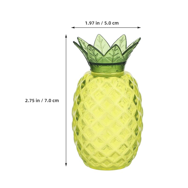 Amazon.com: 12Pcs Pineapple Storage Jar: Airtight Food Boxes for