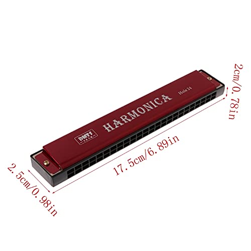 Harmonica Professionnel 24 trous harmonica bec métal orgue débutant - Les Beatles, Paul McCartney, John Lennon, RIngo Starr, George Harrison Harmonica Professionnel 24 trous harmonica bec métal orgue débutant – Image 3