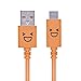 ELECOM-Japan Brand-USB Type-C Cable (USB A to USB C) 3A Output Super Fast Charging Function Orange MPA-FAC12CDR