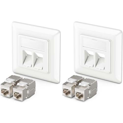 Prise RJ45 Cat6a deleyCON double boîtier réseau encastrable Gigabit ethernet