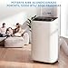 Imagen de MIDEA Pingüino Aire Acondicionado Portátil 4 en 1