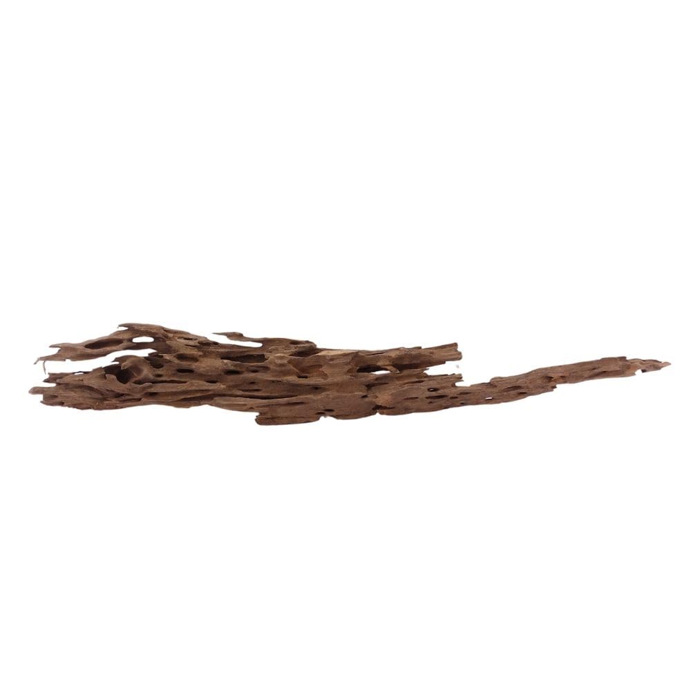 XL Honey Comb Wurzel Nr.1934 Aquarium Wurzel Mangrove Holz Deko Aquascaping Dekoration Landschaft Moos Natur Echtholz