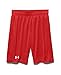 Under Armour Boys Challenger Knit Shorts