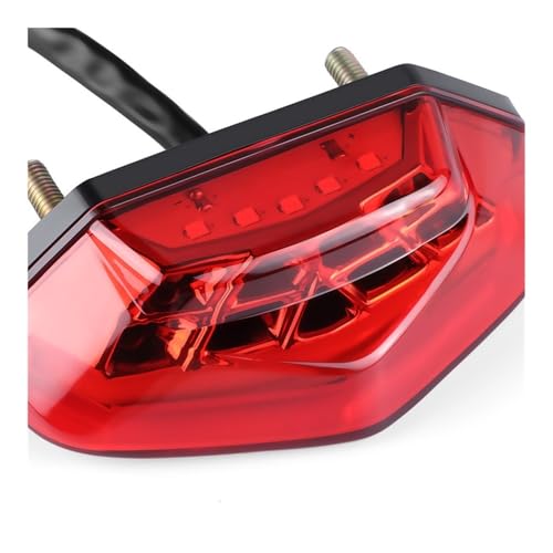 Feux arrière LED pour moto et ATV avec éclairage de plaque blanc et stop DRL