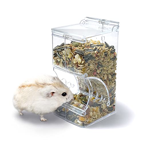 automatic hamster feeder with timer