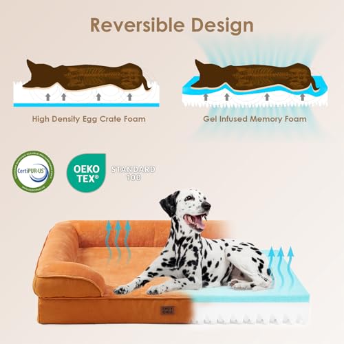 Image of EHEYCIGA Orthopedic Dog Bed for Medium Dogs, Waterproof Memory Foam Medium Dog Beds with Sides, Non-Slip Bottom and Egg-Crate Foam Pet Couch Bed with Washable Removable Cover,Pumpkin Orange