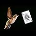 Yeahgoshopping Floating Poker Card Hummingbird UFO Cards Stage Street Close-Up Magic Tricks