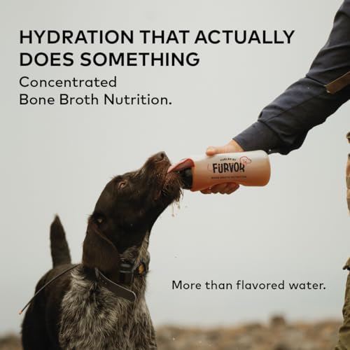 Image of Beef Bone Broth Concentrate for Dogs - Collagen Protein Supplement - Digestion, Mobility, Coat, Immune System, Joints - Healthy Dog Food Gravy Topper - Human Grade, Made in USA (16 oz, 30 Servings)