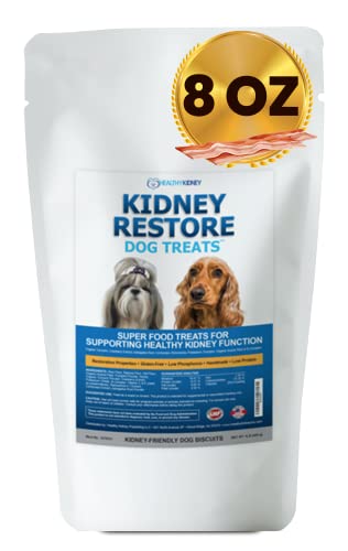 Top 10 Low Protein Dog Foods for Kidney Disease: A Comprehensive Buying ...