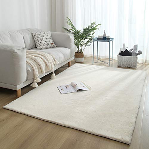 Tapis antidérapant en peluche évite les sols froids et glissants 50x80 cm
