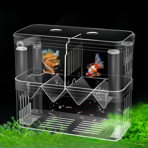 VAYINATO Petzlifeworld Double Deck Isolation Breeding Box For Aquarium Fish Breeding Acrylic Aquarium Hatchery Incubator With Divider For Seperating Small Fish | Can Connected To Air Pump