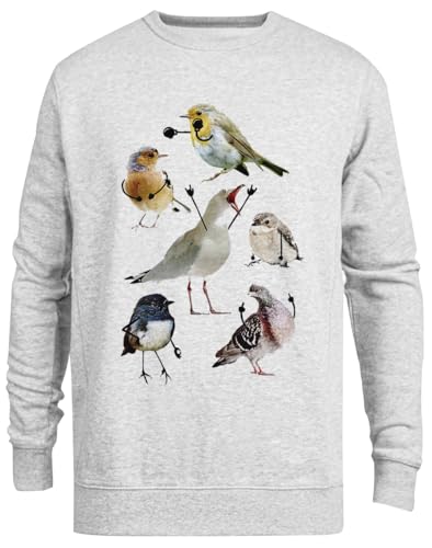 Pull ras du cou gris unisexe Birds with Arms décontracté