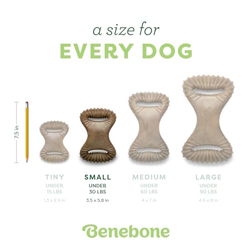 Image of Benebone Dental Durable Dog Chew Toy for Aggressive Chewers, Real Bacon, Made in USA, Small