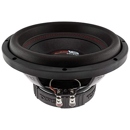 DS18 slc10s Select Serie 25,4 cm Stimme Coil 440 Watt max Subwoofer, Set 1