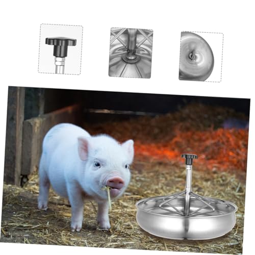 Mangeoire pour porcs en acier inoxydable avec compartiments - 3