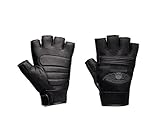  HARLEY-DAVIDSON Winged Skull Fingerless Handschuhe, 98277-14VM, L